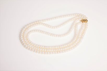 Triple Strand of Pearls