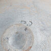 A Len Castle Avian Bowl - 5