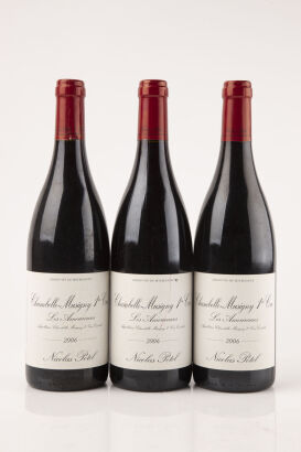 (3) 2006 Nicolas Potel Chambolle Musigny 1er Cru Les Amoureuses, Cote de Nuits