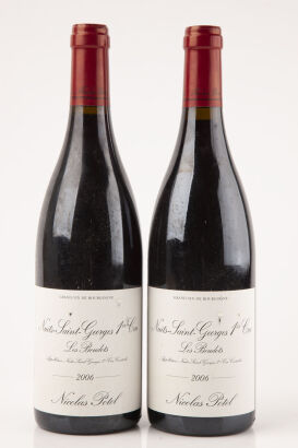 (2) 2006 Nicolas Potel Nuits St Georges 1er Cru Les Boudots, Cote de Nuits