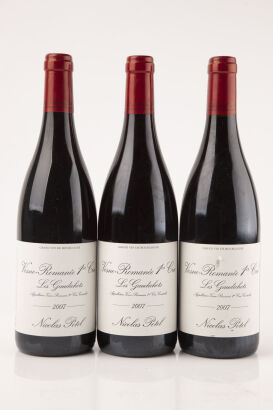 (3) 2007 Nicolas Potel Vosnee Romanee Les Gaudichots, Cote de Nuits