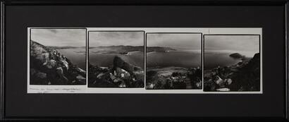 Aramoana, from Taiaroa Head by Lloyd Godman