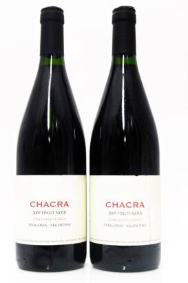 (2) 2009 Bodega Chacra 'Cincuenta Y Cinco' Pinot Noir