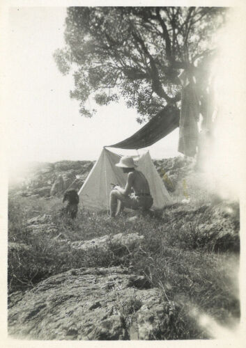 PHOTOGRAPHER UNKNOWN untitled