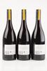 (3) 2013 Neudorf Moutere Pinot Noir, Nelson - 2