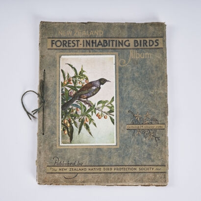 New Zealand Forest-Inhabiting Birds Albums