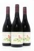 (3) 2010 Pyramid Valley 'Earth Smoke' Pinot Noir