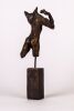 Christopher Hart - Torso - 2
