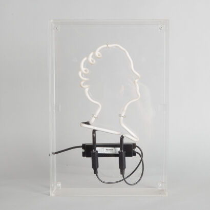 A Perspex Case Queen Elizabeth Neon