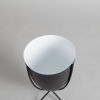 An Edward Planter Black - 2
