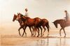 JAMES LEONARD CUTTEN Beach Training, Otaki