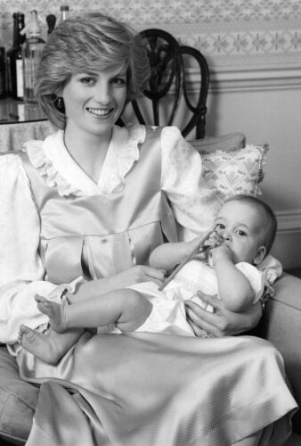 TIM GRAHAM Princess Diana and Prince William