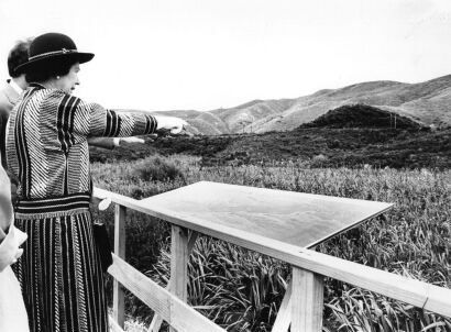 The Queen at Taupō Swamp in Plimmerton