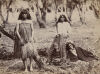 C. P. COTTIER, NEW PLYMOUTH Photograph of three Māori women, one dressed in two layers of piupiu, others Victorian dress and white feathers, and a boy. Ngā Māhanga iwi