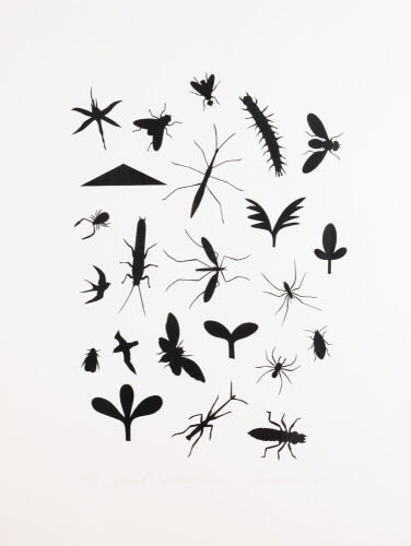 RICHARD KILLEEN Black Collection