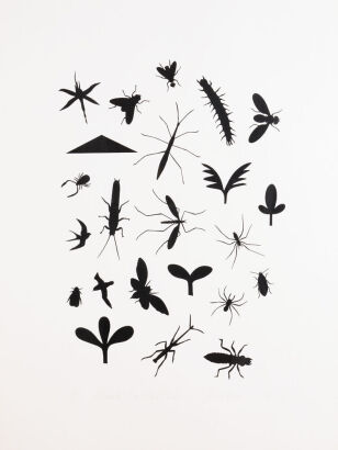 RICHARD KILLEEN Black Collection