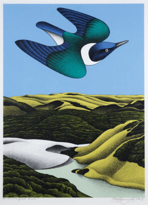 DON BINNEY Swoop of the Kotare, Wainamu