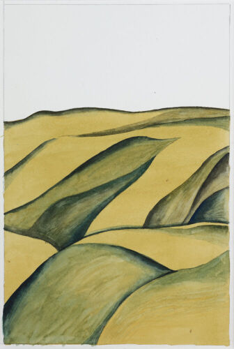 ROBIN WHITE Bare Hill, Paremata 5