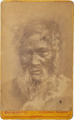 ELIZABETH PULMAN, AUCKLAND Portrait of Te Hore Hore with moko and beard