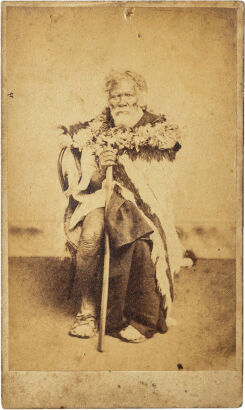 UNKNOWN PHOTOGRAPHER Portrait of an elderly Māori man with beard seated in studio, draped in Kaitaka aronui and holding a stick