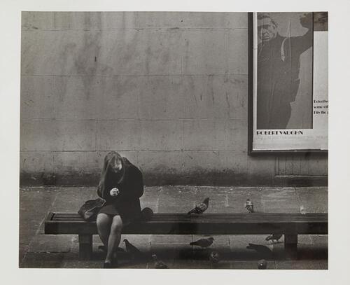 JOHN DALEY untitled