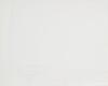 NEY COLLIER untitled - 2
