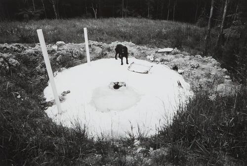 JOHN B TURNER untitled