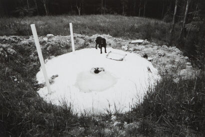 JOHN B TURNER untitled