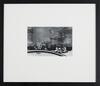 JOHN B TURNER Pohutukawa, Dominion Musuem Courtyard, Buckle Street, Wellington 1967 - 2
