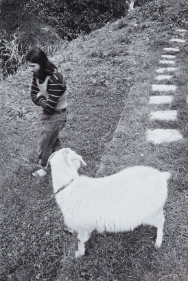 JOHN B TURNER Rick Anekstein and Goat