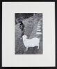 JOHN B TURNER Rick Anekstein and Goat - 2