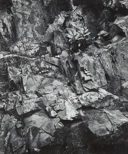 JOHN B TURNER Ngaio Gorge, Wellington