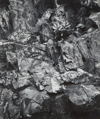 JOHN B TURNER Ngaio Gorge, Wellington