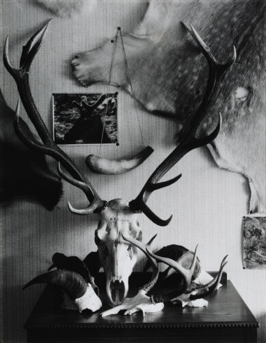 JOHN B TURNER Ross's Bedroom, From The Turner Family Series
