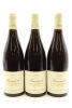 (3) 2009 Domaine Chantal Lescure Les Bertins, Pommard Premier Cru