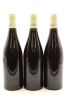 (3) 2009 Domaine Chantal Lescure Les Bertins, Pommard Premier Cru - 2