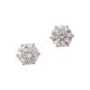 18ct Diamond 4.0ct Earrings