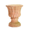 A Terracotta Pot