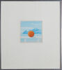 PETER IRELAND Wainui Beach Still Life - 2