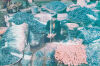ROBIN MORRISON Jodpur Market India