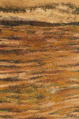 SUZANNE GOLDBERG Desert Road