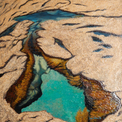 JANET BOTHNER-BY Tawharanui Rock Pool
