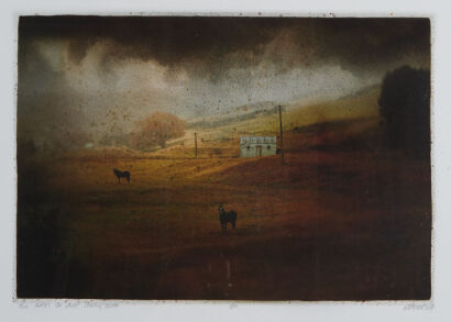 MATT PALMER Two Horses Ida Valley Looking South