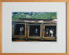 ROBIN MORRISON Sheep Dogs in Kennels, Waiheke Island - 2