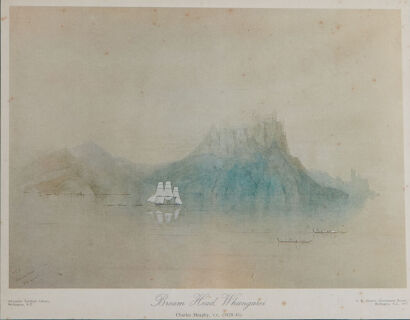 CHARLES HEAPHY Bream Head Whangarei