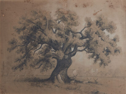 ROBBIE TYTLER Oak Tree