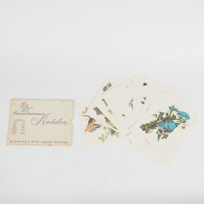 AUDUBON PRINTS Best Loved Bird Paintings