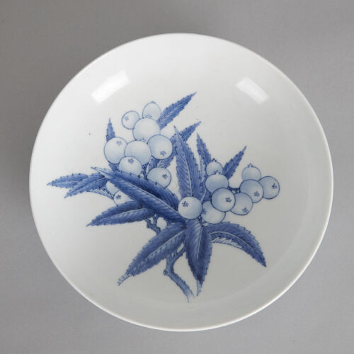 A Japanese Blue and White Dish