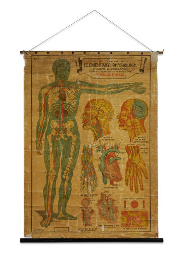 An Old Medical Poster