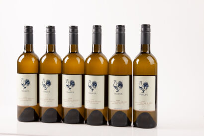 (6) 2005 Vavasour Sauvignon Blanc, Marlborough